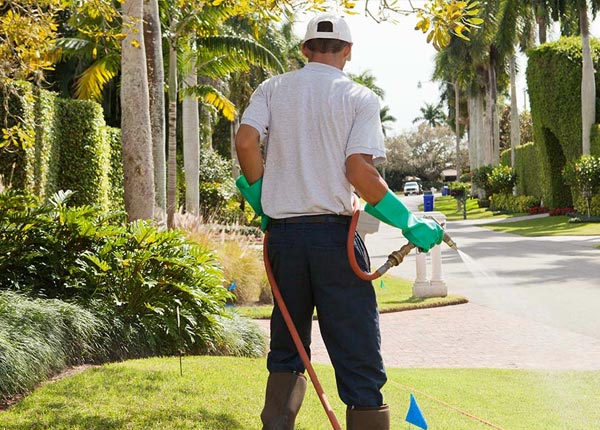About Schaghticoke NY Pest Control